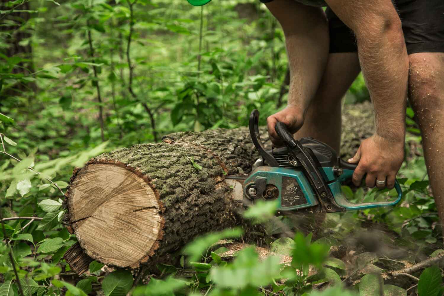 Best Tree Pruning Services  in Rockmart, GA